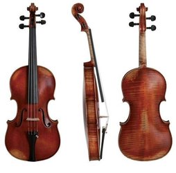 GEWA music Cello 1/2 - Instrumenti Liuteria Concerto