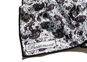 Beaumont - velký hadřík z mikrovlákna 40 x 30 cm pro čištění příčné flétny - Old Dog