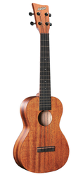 Ashton UKE 200 MH ukulele sopránové