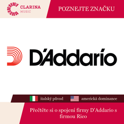 Obrázek pro článek D'Addario a Rico