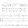 The Singer&apos;s Musical Theatre Anthology 4 - mezzo-soprano