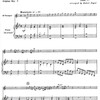 Baroque Music for Trumpet / trumpeta a klavír