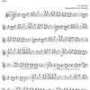 Flute Solos with Piano Accompaniment – Easy Level + Audio Online/ příčná flétna a klavír (PDF)