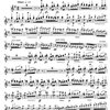 THE CZECH BOOK / housle a klavír - dvě skladby (Smetana a Dvořák)