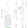 JOHN THOMPSON&apos;S EASIEST PIANO COURSE 3