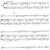 Hal Leonard Corporation Wedding Flute Solos + CD / příčná flétna + klavír