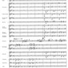 Southern Music Company POPP: La Chasse (Galop Brillante) for Flute and Symphonic Band / fu