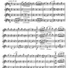 Flute Symphony - jedenáct skladeb pro čtyři příčné flétny