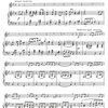 Trumpet Solos with Piano Accompaniment – Intermediate Level + Audio Online / trumpeta a klavír (online)