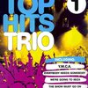 TOP HITS TRIO 1 / 14 hitů pro 3 zobcové flétny (SAA)
