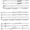 Gary SCHOCKER: The Further Adventures of Two Flutes / dvě příčné flétny a klavír