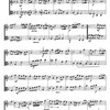 Duets for Violin and Viola / Dueta pro housle a violu