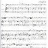 300 Years of Flute Music: EARLY BAROQUE / příčná flétna a klavír (a violoncello)