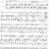 EDITIO MUSICA BUDAPEST Music P THE VIENNA CLASSICS / příčná flétna + klavír