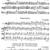Violoncello Music 3 / snadné skladby pro violoncello a klavír