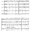 STRAUSS for youth string orchestra