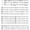 HAYDN - 14 pieces for chidren's string orchestra