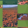The Best of Catherine Rollin, book 2 / klavír
