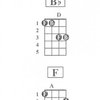 MEL BAY PUBLICATIONS Bass Chords - Pocketbook Deluxe