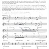 Gypsy Violin Basics + Audio Online / housle