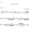 Schubert: AVE MARIA Op.52 No.6 / housle a klavír
