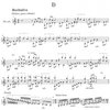 Concerto for Vibraphone & Orchestra (Piano Reduction) by Ney Rosauro