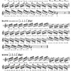 MALLET CONTROL for xylophone (marimba / vibrafon) by G.L.Stone