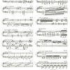 LISZT: Piano Works I - Hungarian Rhapsodies Nr.1-8 (Maďarské rapsodie)