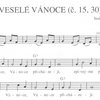 Kouzelná vánoční flétna + CD / 15 krásných vánočních písniček pro zobcovou flétnu