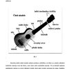 Petr Zeman: UKULELE v české škole - škola hry na ukulele (ladění GCEA)