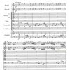 Concerto in C Major (RV534) for 2 Oboes, Strings &amp; Cembalo