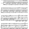 Ibert: The Little White Donkey / příčná flétna a klavír
