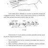 Nové interpretační prostředky pro kytaru - Josef Mazan