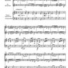 Evropská barokní hudba pro čas vánoční / 2 zobcové flétny (SA) and basso continuo (klavír, violoncello)