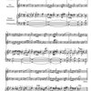 Evropská barokní hudba pro čas vánoční / 2 zobcové flétny (SA) and basso continuo (klavír, violoncello)