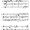 Wiggins: TWELVE BY THREE op. 108 / příčná flétna (hoboj), klarinet a fagot