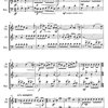 Wiggins: TWELVE BY THREE op. 108 / příčná flétna (hoboj), klarinet a fagot