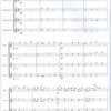 14 Easy Saxophone Quartets (AAAA or TTTT) / partitura + party