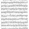 The Merry Fiddler (16 skladeb v irském stylu) + Audio Online / housle a klavír