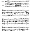 Veracini: 12 Sonaten III (7-9) / altová zobcová flétna (příčná flétna, housle) a basso continuo (klavír, violoncello)
