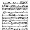 Veracini: 12 Sonaten IV (10-12) / altová zobcová flétna (příčná flétna, housle) a basso continuo (klavír, violoncello)
