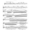 Vilém Blodek: Fantaisie et caprice, Grand solo Op. 1 / příčná flétna a klavír