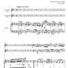 Crusell: Andante und Allegro Vivace / dva klarinety a klavír