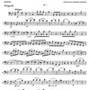 Mozart: Five Divertimenti K.229 / dva klarinety a fagot