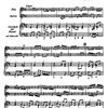 Bach: Trio in B Minor / příčná flétna, housle a violoncello (klavír)