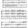 Danzi: Sinfonia Concertante in Bb major op.41 /  příčná flétna, klarinet a klavír (redukce orchestru)