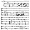Crusell: RONDO for 2 Clarinets and String Quartet / dva klarinety a klavír