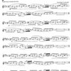 Complete Daily Exercises for the Flute / denní cvičení pro středně a více pokročilé flétnisty