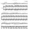 Sluka: TRE COMPOSIZIONI per clarinetto basso e pianoforte / basový klarinet a klavír