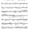 Sluka: ANDANTE CON MOTO per clarinetto basso e pianoforte / basový klarinet a klavír